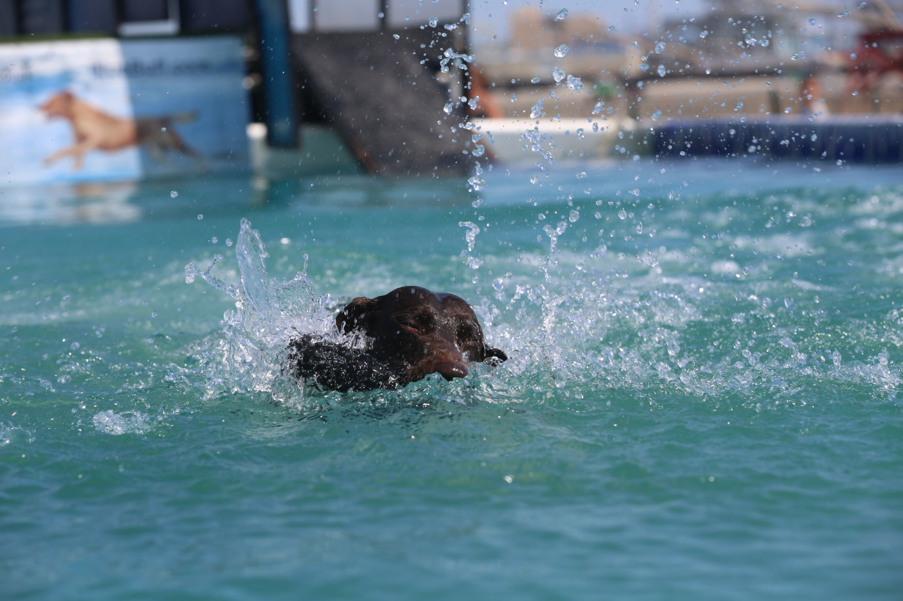 090919_gal_dockdogsWW (76)